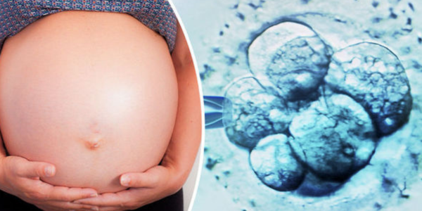 Age-related fertility decline consultation at Sattva Fertility Care Center