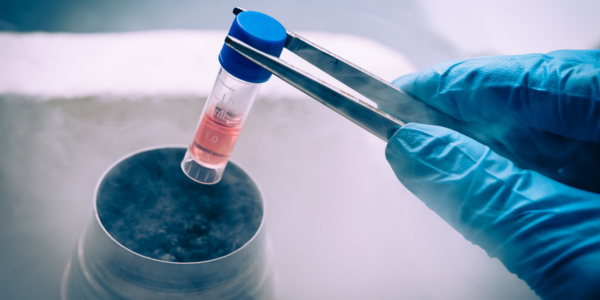 Cryopreservation process at Sattva Fertility Care Center