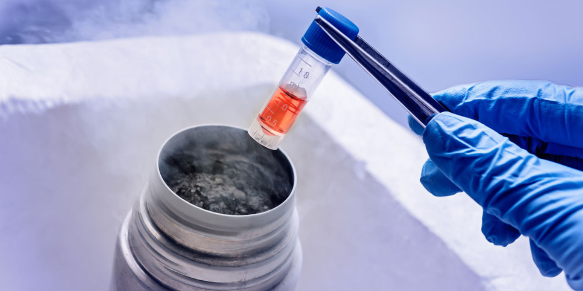 Cryopreservation service consultation at Sattva Fertility Care Center