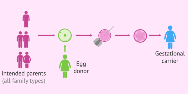 Egg donation program at Sattva Fertility Care Center