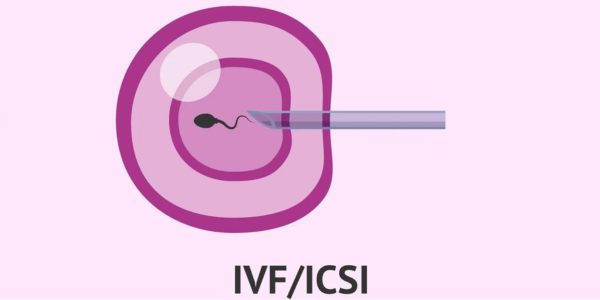 Fertilization process at Sattva Fertility Care Center