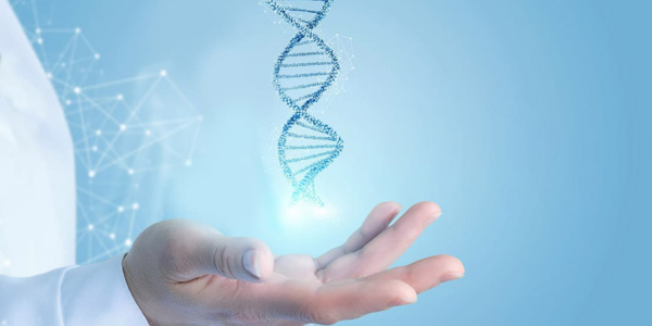Genetic factors consultation at Sattva Fertility Care Center