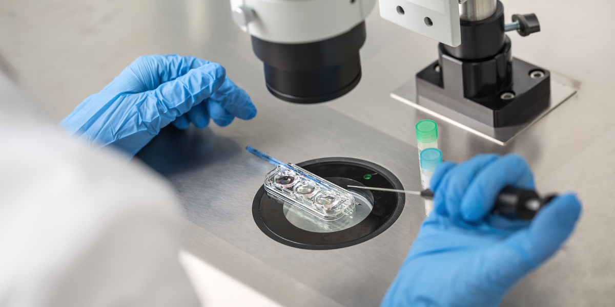 IVF treatment consultation at Sattva Fertility Care Center