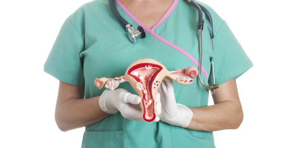 Infertility treatment consultation at Sattva Fertility Care Center