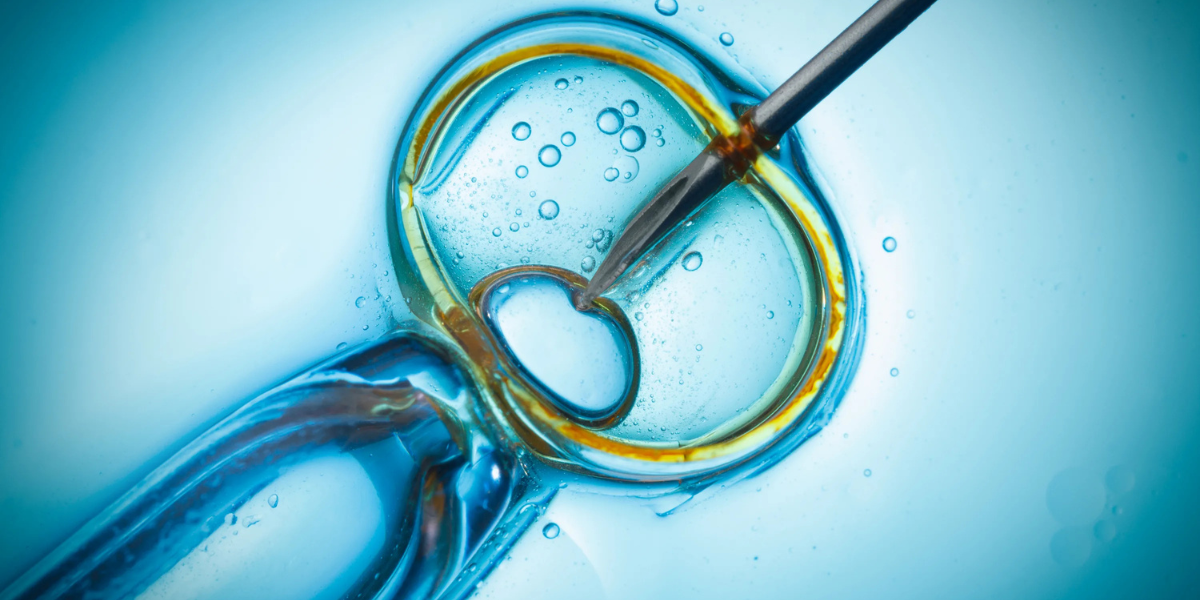 ICSI treatment consultation at Sattva Fertility Care Center