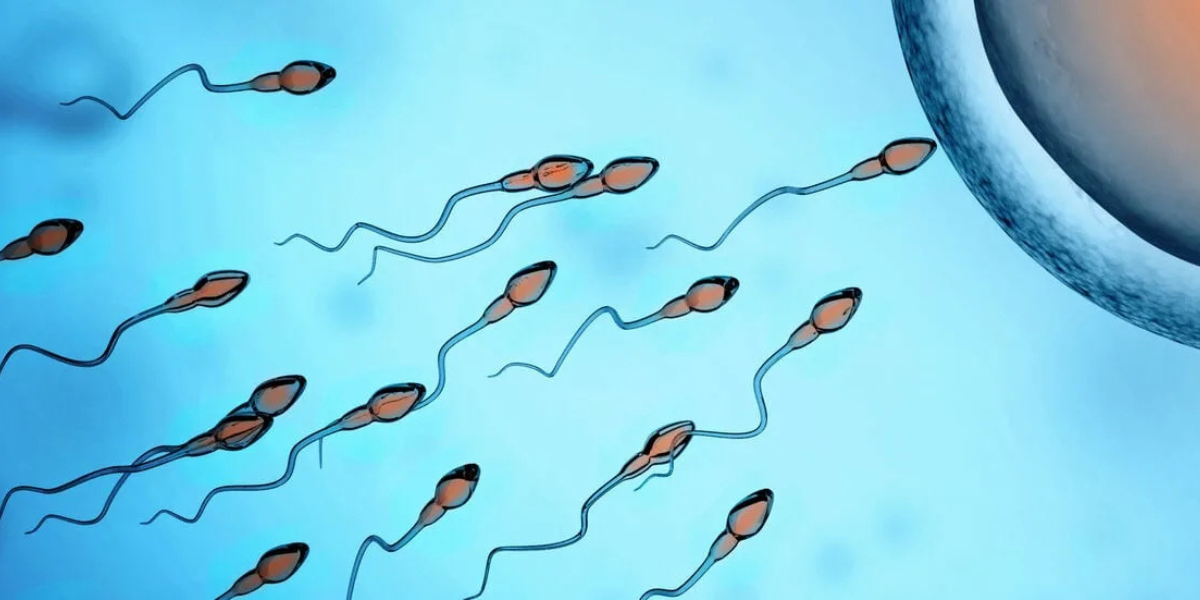 Male infertility and complex conditions consultation at Sattva Fertility Care Center