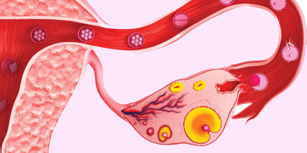 Ovarian stimulation procedure at Sattva Fertility Care Center