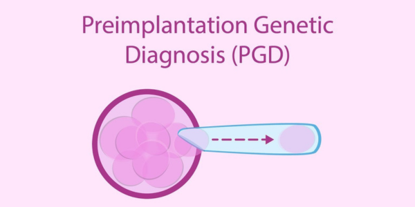 Improving pregnancy success rates with PGT at Sattva Fertility Care Center