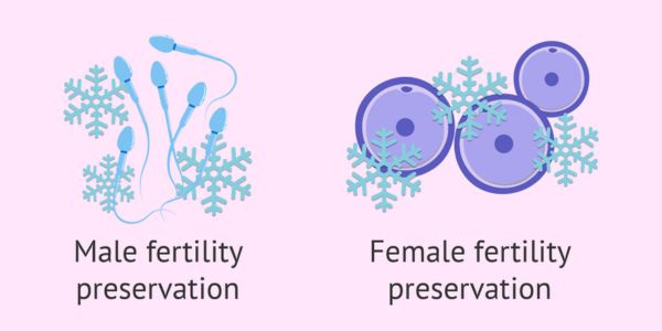 Fertility preservation consultation at Sattva Fertility Care Center