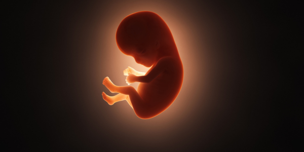 Preventing recurrent IVF failures with PGT at Sattva Fertility Care Center