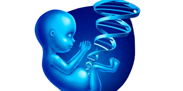 Reducing genetic disorder risks with PGT at Sattva Fertility Care Center