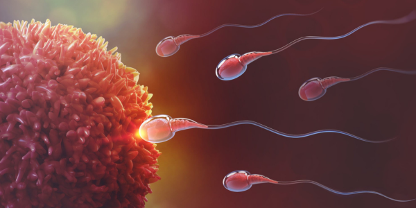 Sperm preparation process at Sattva Fertility Care Center